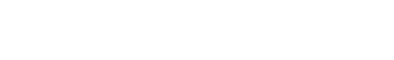 サービス内容